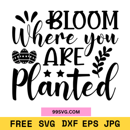 Easter SVG Bloom Where You Are Planted SVG Files for Cricut & Silhouette
